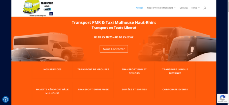 Capture d'écran de la page d'accueil du site transport en toute liberté