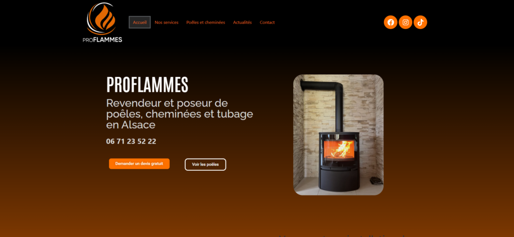 Capture d'écran de la page d'accueil du site proflammes